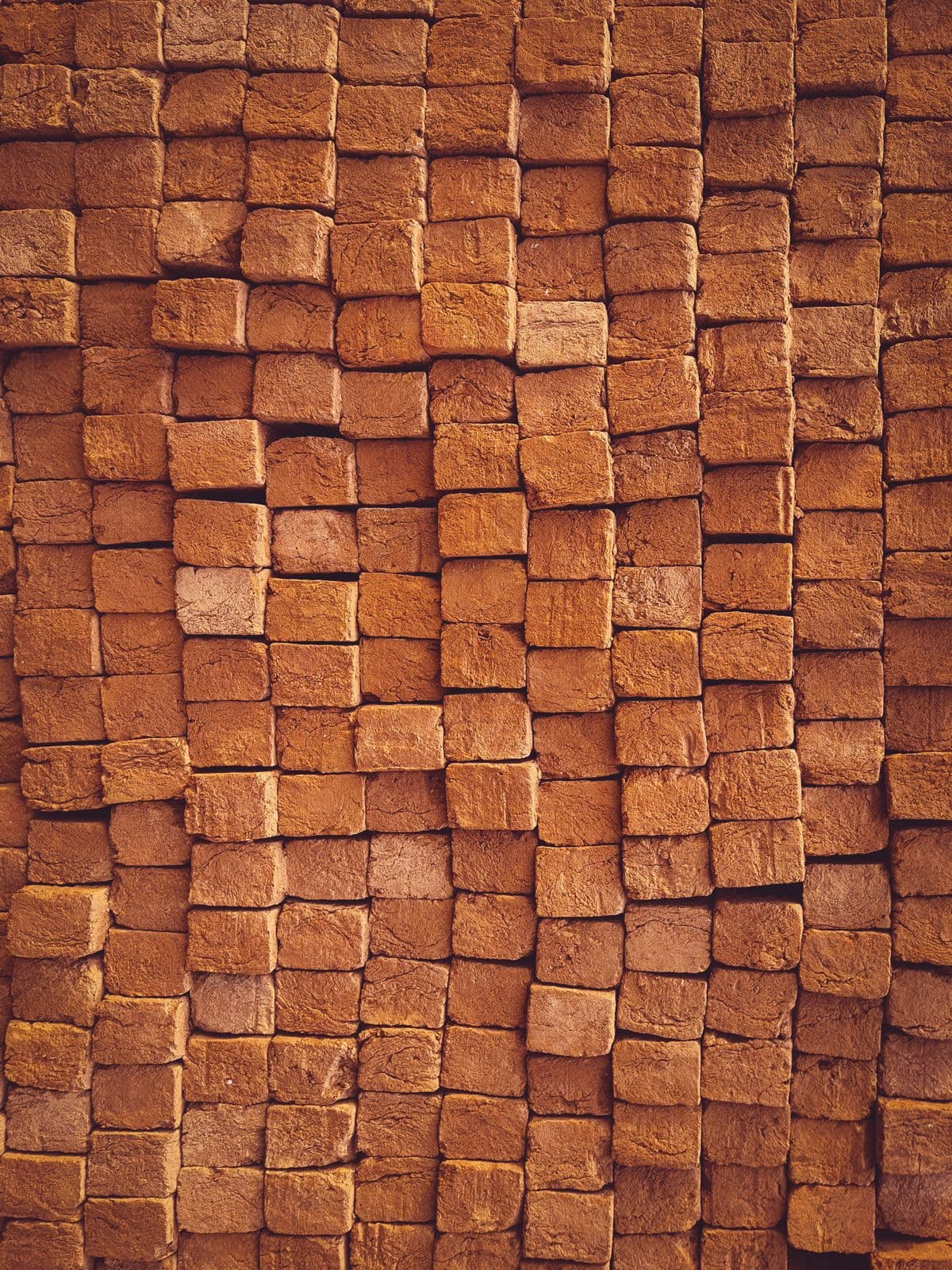 Gạch đặc 2 lỗ